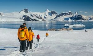 Antarctica Trips: How to Prepare for the Ultimate Adventure